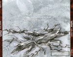 Хладновзор : Белый лабиринт (White Labyrinth) (CD, Album)