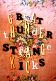 Great Thunder : Strange Kicks (Cass, Album)