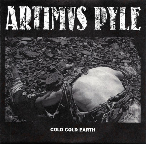 Artimus Pyle : Cold Cold Earth (7")