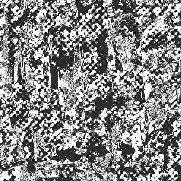 Perspex Flesh : Ordered Image (12", EP)