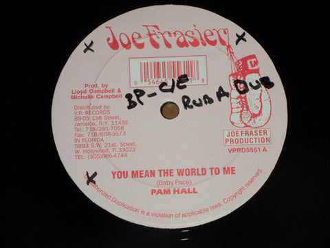 Pam Hall : You Mean The World To Me (12")