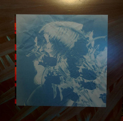 VATS (2) : Green Glass Room (LP, Album)